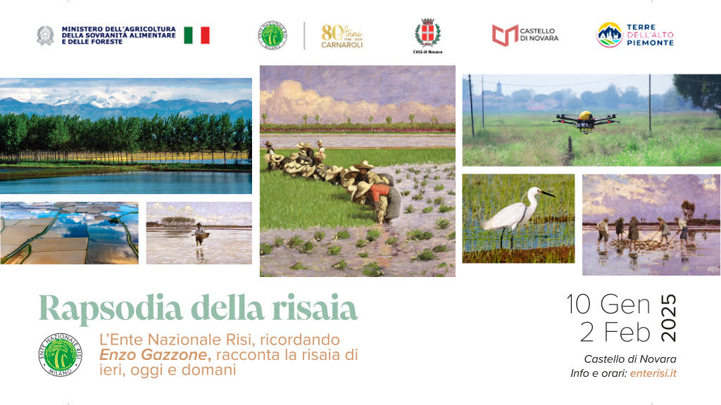 RAPSODIA DELLA RISAIA l'Ente nazionale Risi, ricordando Enzo Gazzone, racconta la risaia di ieri, oggi e domani “Rapsodia della risaia” è un viaggio nella storia della risicoltura italiana. Un percorso pittorico raccontato attraverso un ciclo di 40 tavole realizzate dal pittore vercellese Enzo Gazzone tra gli anni ’30 e ’40 del secolo scorso. Espressione unica di arte e memoria, queste opere immortalano la vita nei campi prima della meccanizzazione agricola: le mondine, il duro lavoro dell’uomo e il lento scorrere delle stagioni. Dal bruno invernale all’azzurro dell’acqua che allaga i campi, fino al verde e al giallo del raccolto estivo, ogni sfumatura racconta un momento di vita, lavoro e tradizione in risaia fino ad un secolo fa. La mostra non è solo un omaggio al passato, ma uno sguardo attento al presente e al futuro della risicoltura italiana. Di fronte alle tavole dipinte di Gazzone potrete ammirare anche le fotografie dell’archivio dell’Ente Nazionale Risi, che documentano la risicoltura oggi: un settore che guarda al futuro attraverso ricerca, tecnologia e agricoltura di precisione, senza mai dimenticare le proprie radici. Tra tradizione e innovazione, il “mare a quadretti” delle risaie rivive, testimoniando il legame tra uomo, natura e lavoro e invitando il visitatore a riflettere sul presente e a riscoprire un paesaggio unico, patrimonio di tutti.