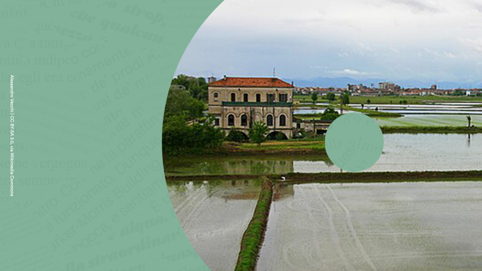 Il paesaggio del riso con Giuseppe Rosso Segue una degustazione di paniscia preparata dallo chef dell’Orto in cucina Giovanni Ruggieri, accompagnata dai vini dell’Alto Piemonte della Cantina Rovellotti di Ghemme. copie in omaggio ai partecipanti in collaborazione con Consorzio Mutue